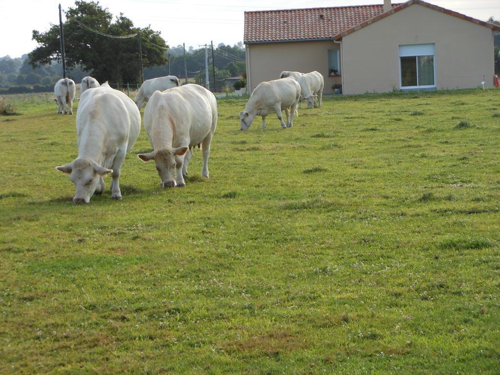 Chambre D'Hotes La Basse Gougeonniere Neuvy-en-Mauges Εξωτερικό φωτογραφία